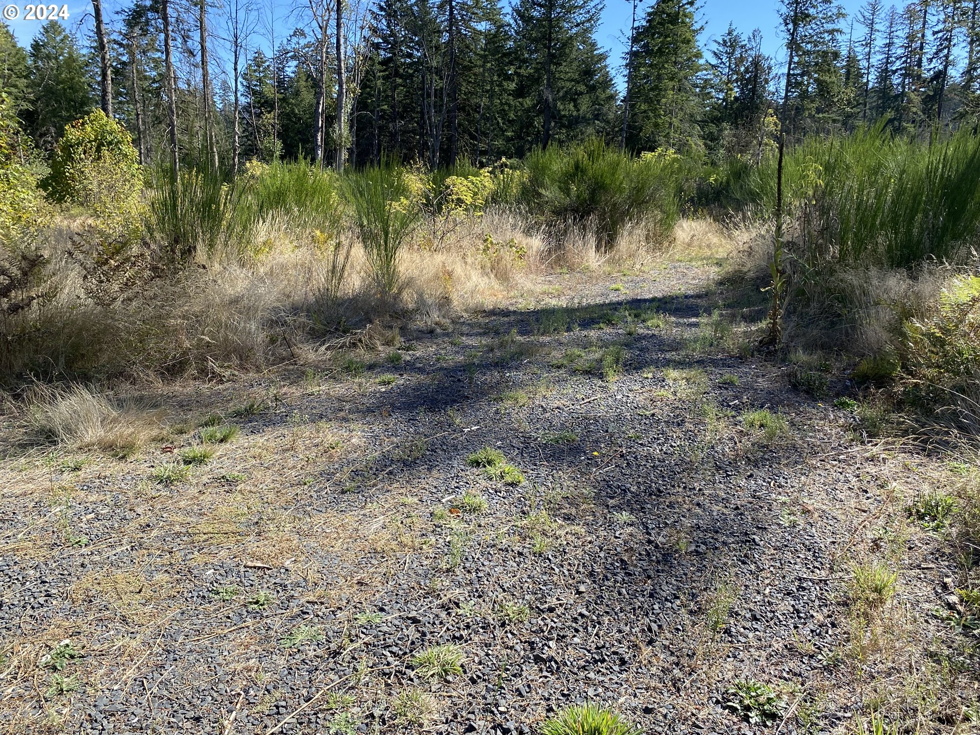 23545 North Fork Road Southeast Lyons, OR 97358 - Photo 12 of 12 a view of a yard with a tree