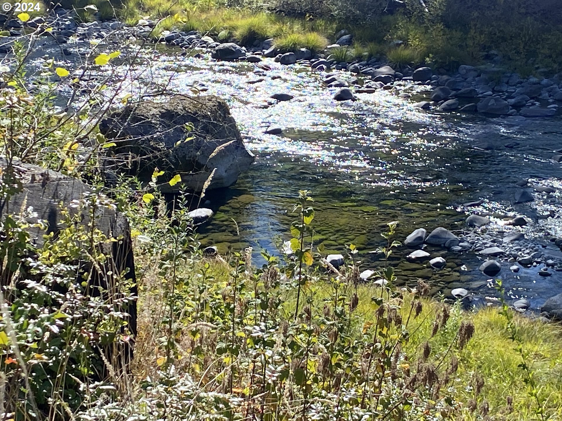 23545 North Fork Road Southeast Lyons, OR 97358 - Photo 2 of 12 a view of a tree with a plant
