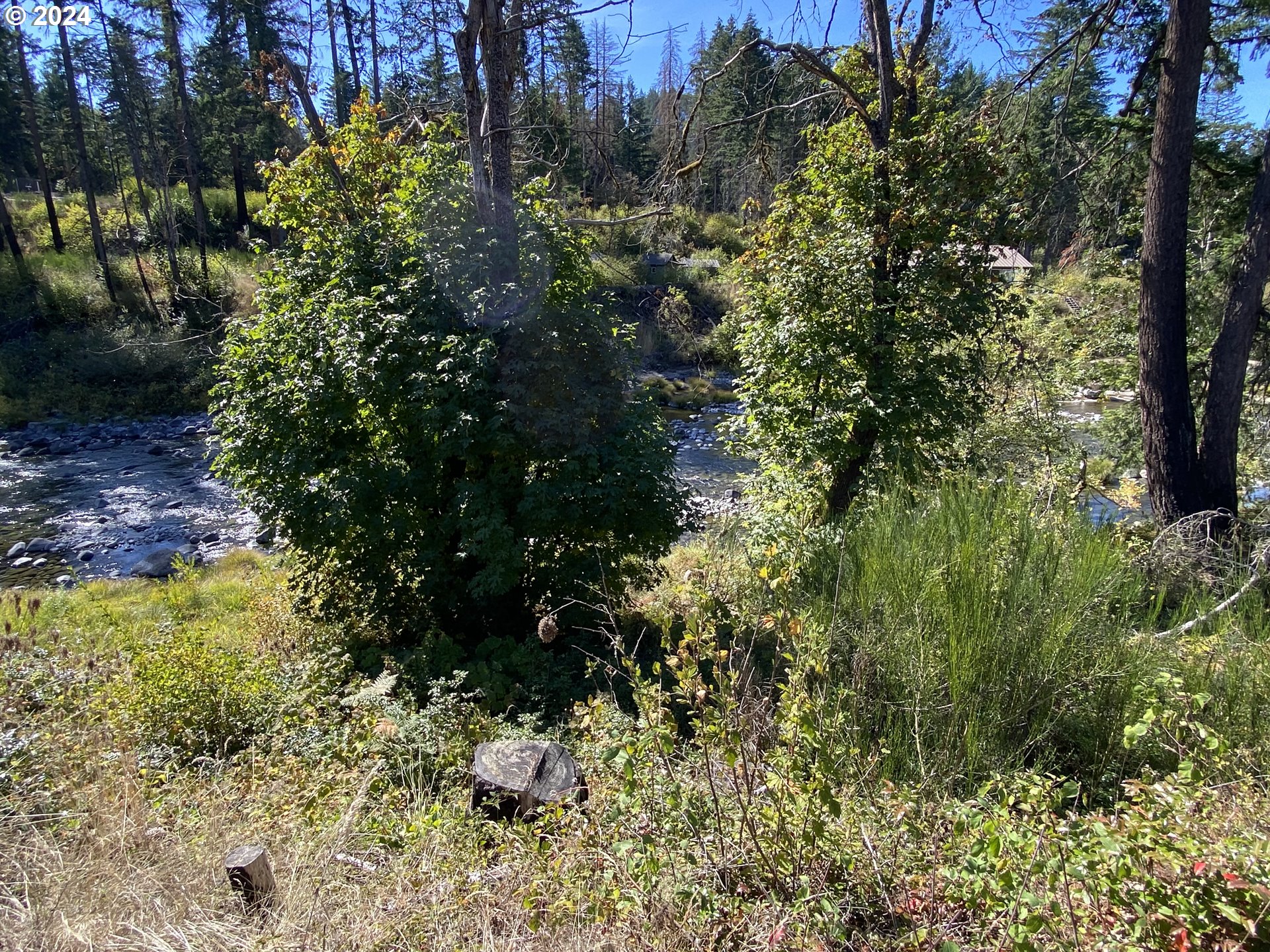 23545 North Fork Road Southeast Lyons, OR 97358 - Photo 4 of 12 a view of a garden with plants and large trees