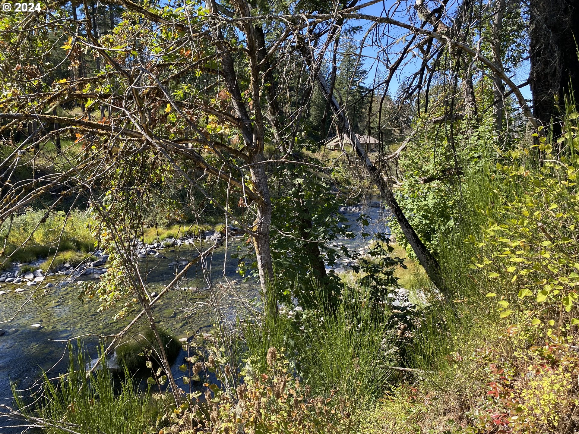 23545 North Fork Road Southeast Lyons, OR 97358 - Photo 5 of 12 a view of a yard with plants and tree