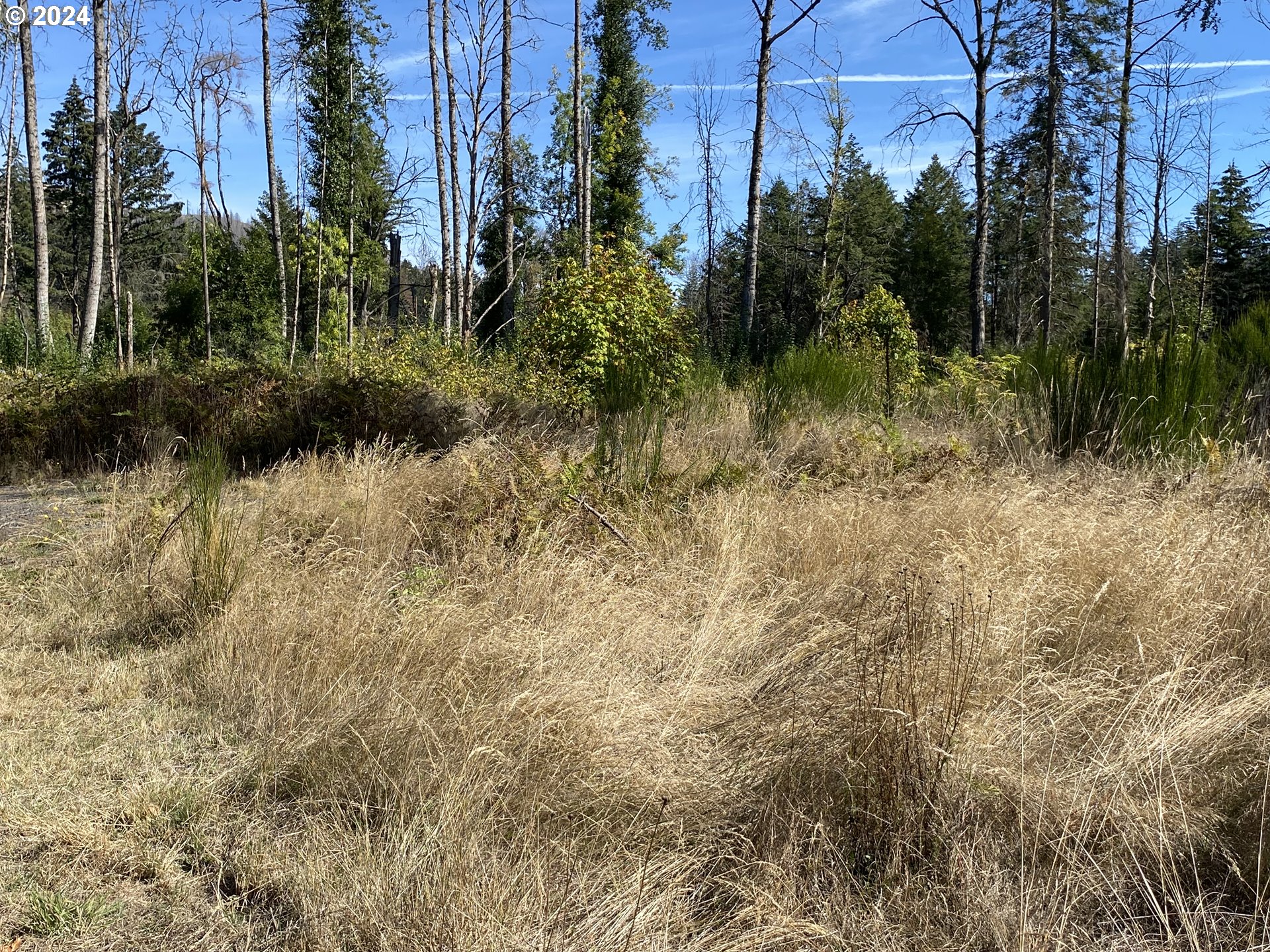 23545 North Fork Road Southeast Lyons, OR 97358 - Photo 9 of 12 a view of a yard