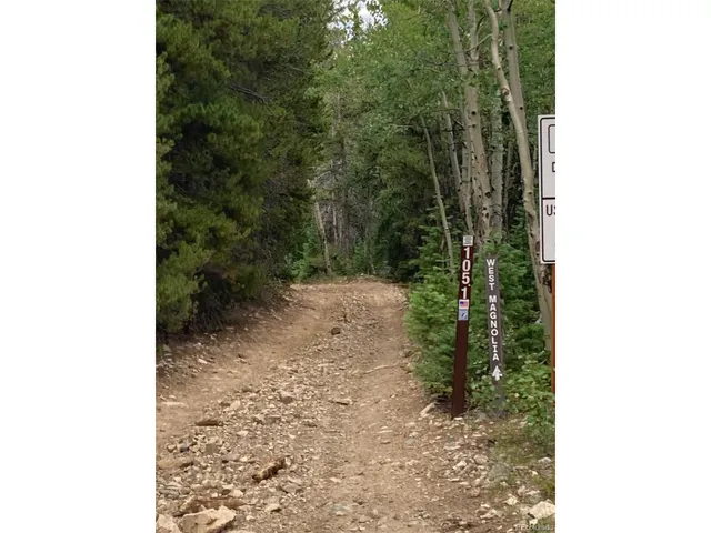 $215,000 | 105 Forest Service Camp Road, Rollinsville, CO 80474