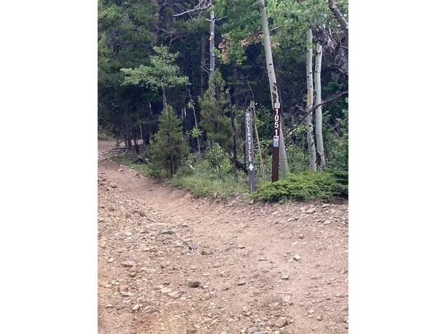 $215,000 | 105 Forest Service Camp Road, Rollinsville, CO 80474