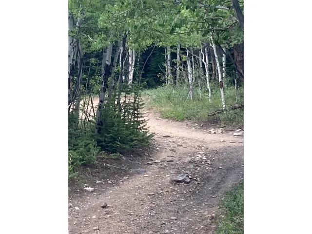 $215,000 | 105 Forest Service Camp Road, Rollinsville, CO 80474