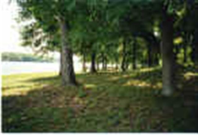 337 Ray McMahan Road Iva, SC 29655 - Photo 18 of 20 Gallery Image 18