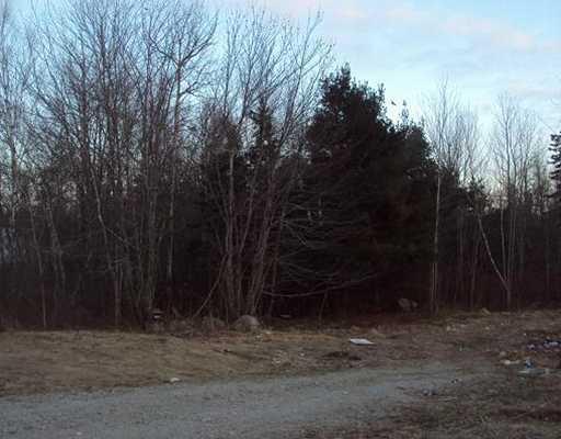 229 Tunk Lake Road Sullivan, ME 04664 - Photo 1 of 3 Land/Lot.