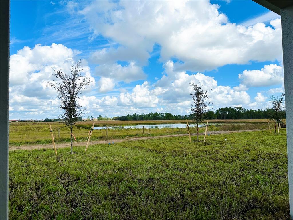 700 Daring Drive Davenport, FL 33837 - Photo 13 of 22