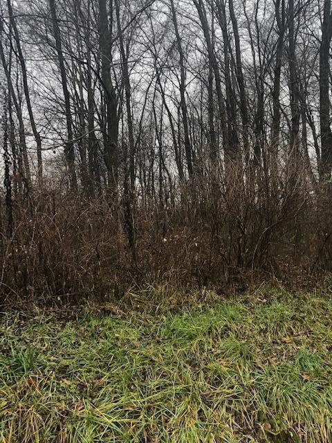 0 Earlywine Road Walhonding, OH 43843 - Photo 6 of 10