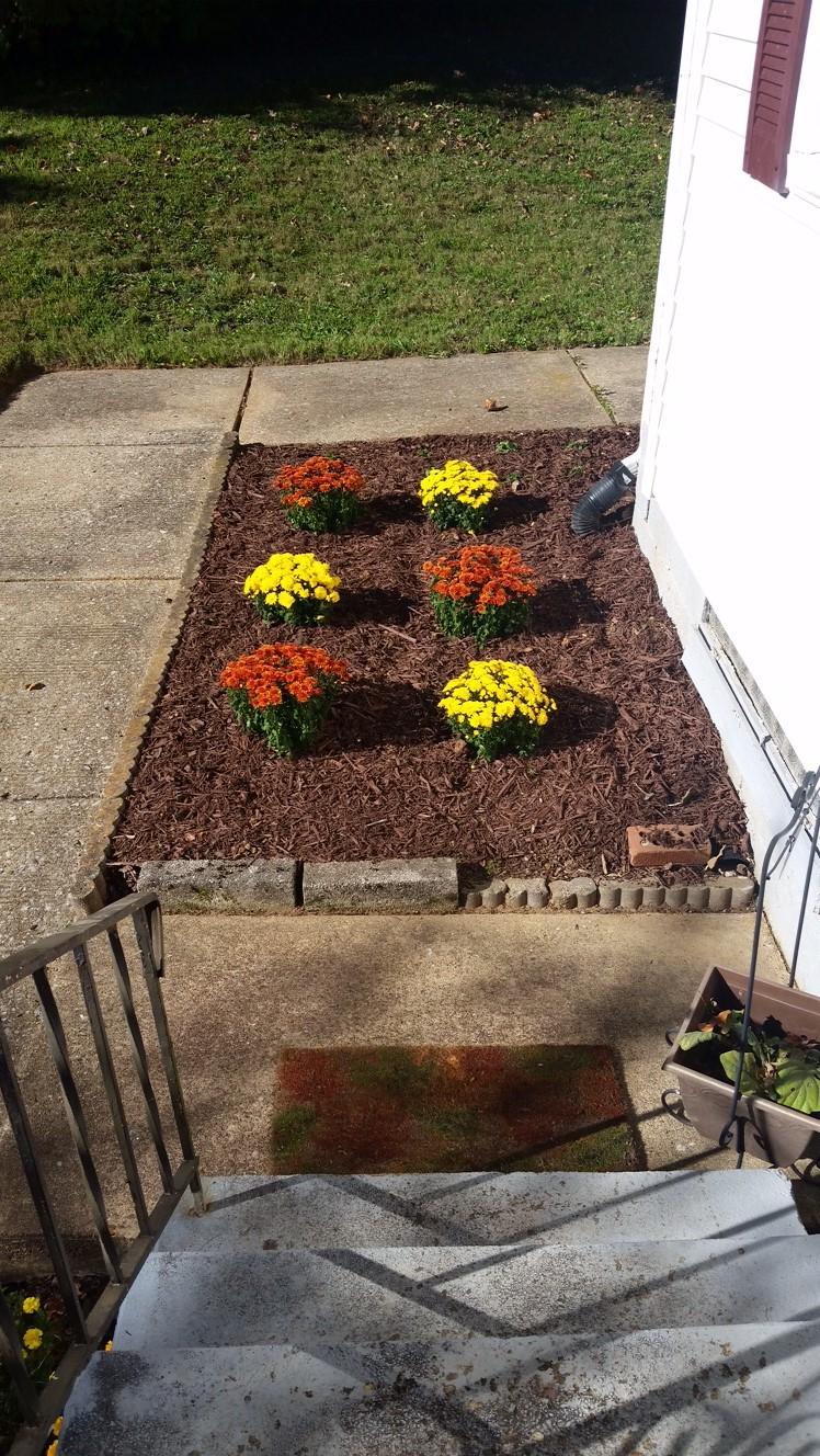 106 Peach Road Oak Ridge, TN 37830 - Photo 21 of 21 Fall Planting