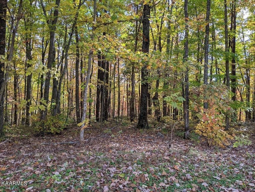 0 Star Point Road Jamestown, TN 38556 - Photo 17 of 17 a view of outdoor space and trees