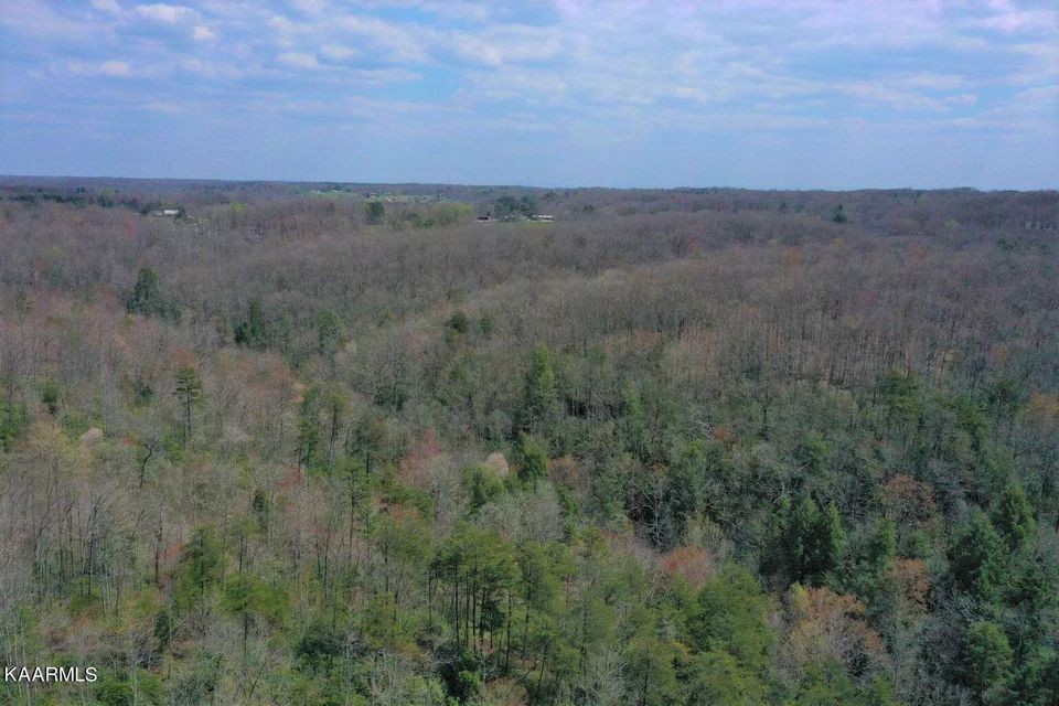 0 Star Point Road Jamestown, TN 38556 - Photo 5 of 17 an aerial view of forest