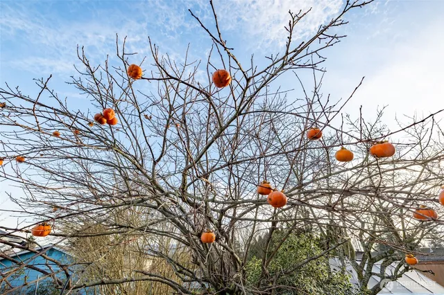 $624,999 | 2012 East Belair Drive, Mount Vernon, WA 98273