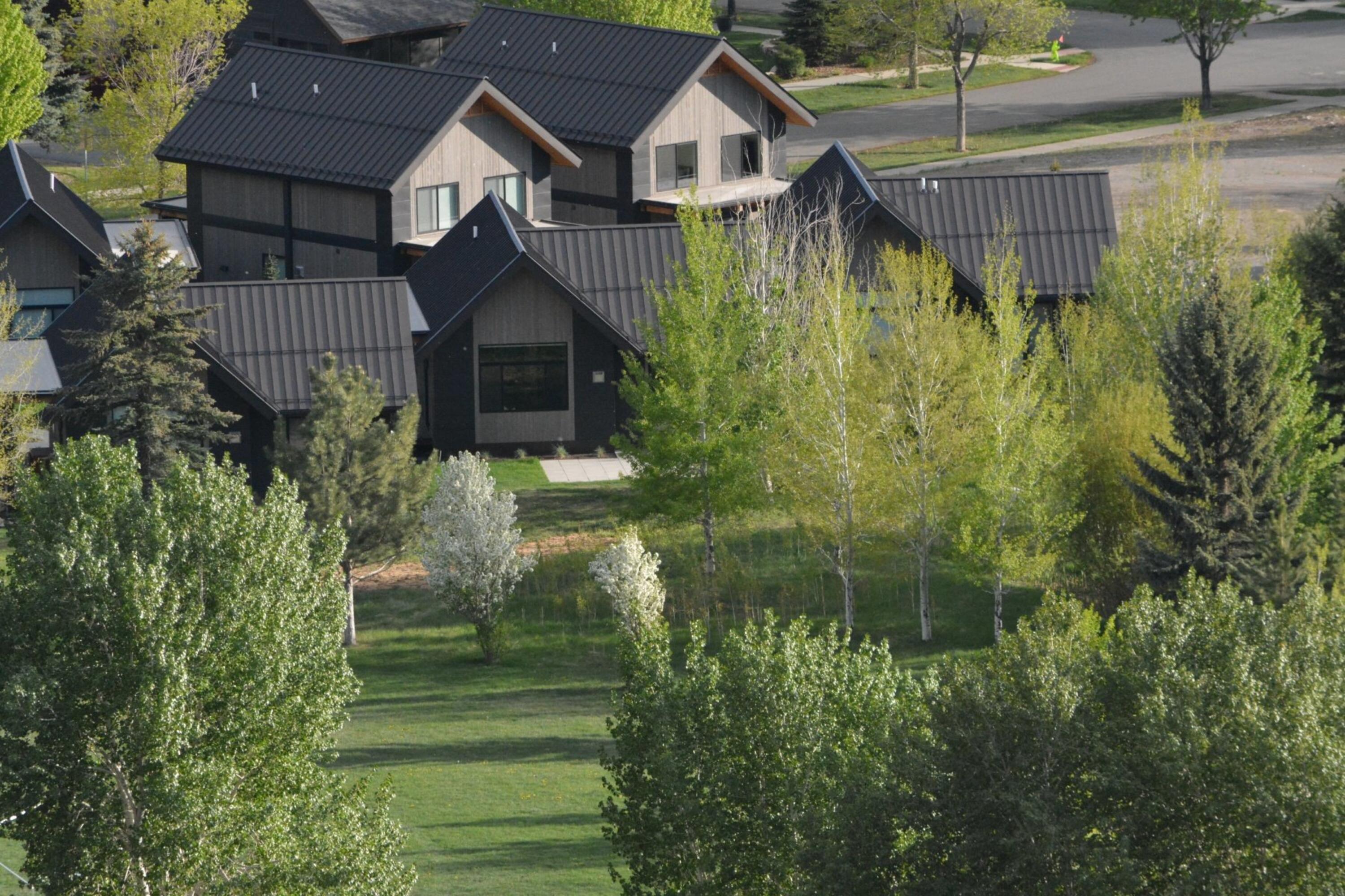 001_006_dsc_1215_529