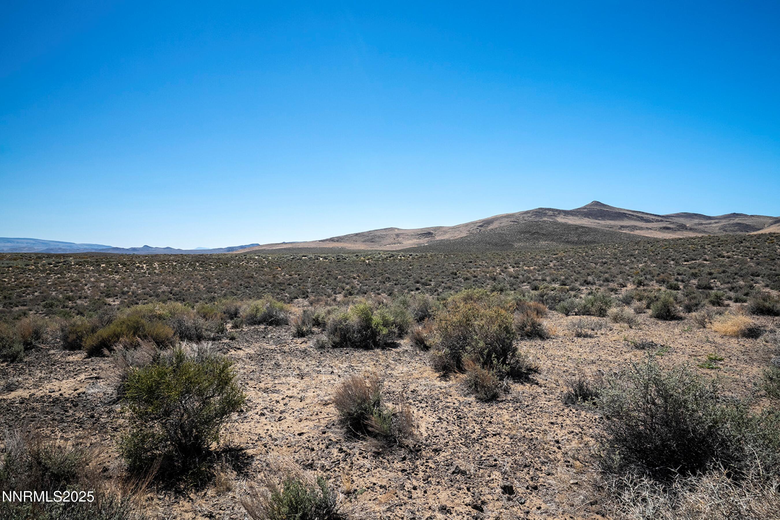 7975 Break-A-Heart Road Silver Springs, NV 89429 - Photo 18 of 19 DSC08820 BAH NV