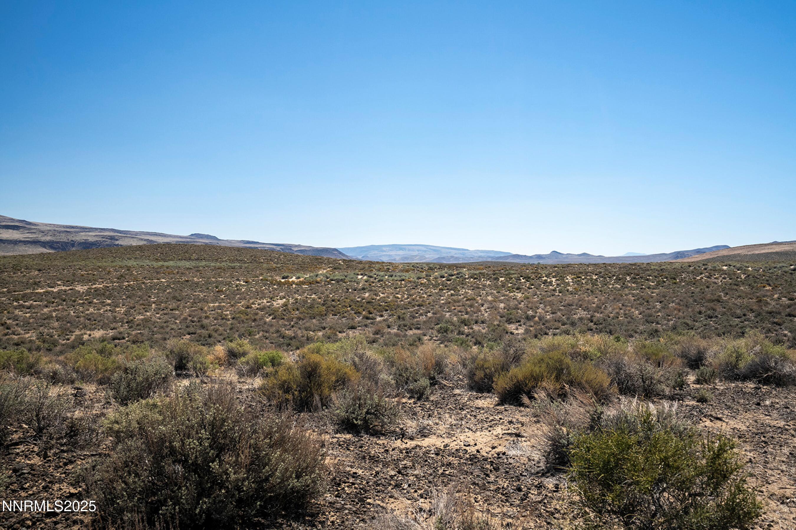 7975 Break-A-Heart Road Silver Springs, NV 89429 - Photo 19 of 19 DSC08821 BAH NV