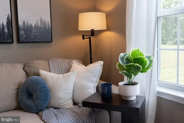 a living room with furniture and a potted plant