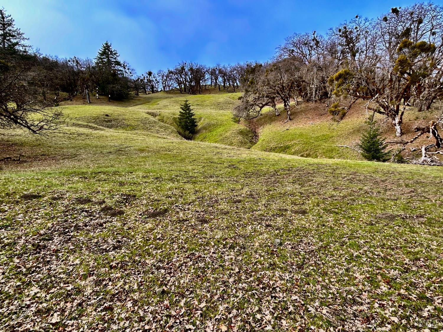 74000 Island Mountain Road Garberville, CA 95542 - Photo 2 of 36