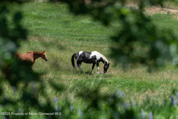 $70,000 | 623 Johnson Drive, Aspen, CO 81612