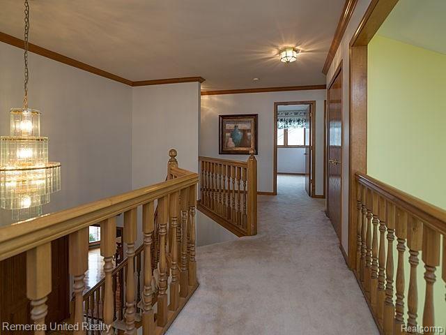 18903 Van Road Livonia, MI 48152 - Photo 38 of 57 37_24.jpg