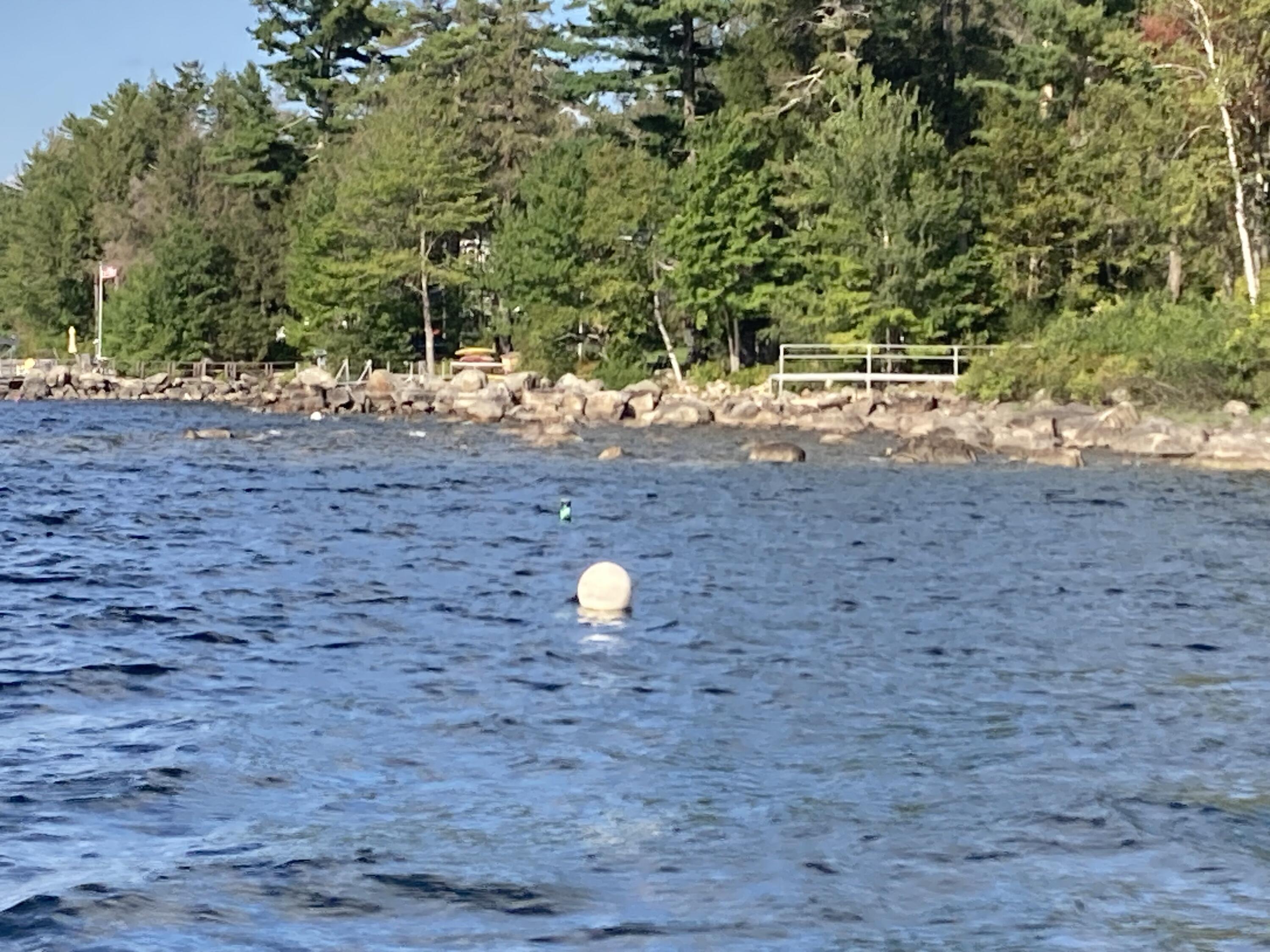 194 Hearthside Road Standish, ME 04084 - Photo 53 of 86 Boat Mooring