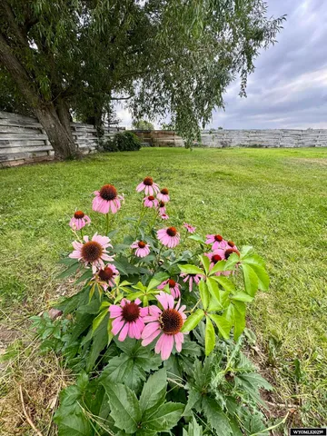 $339,000 | 1103 22nd Street, Wheatland, WY 82201