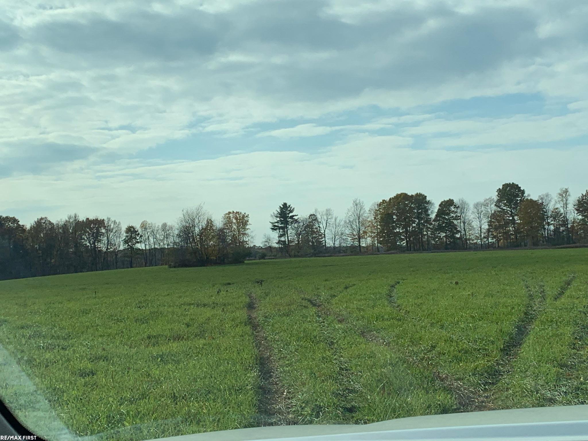0 North Five Lakes Road Lapeer, MI 48446 - Photo 18 of 22
