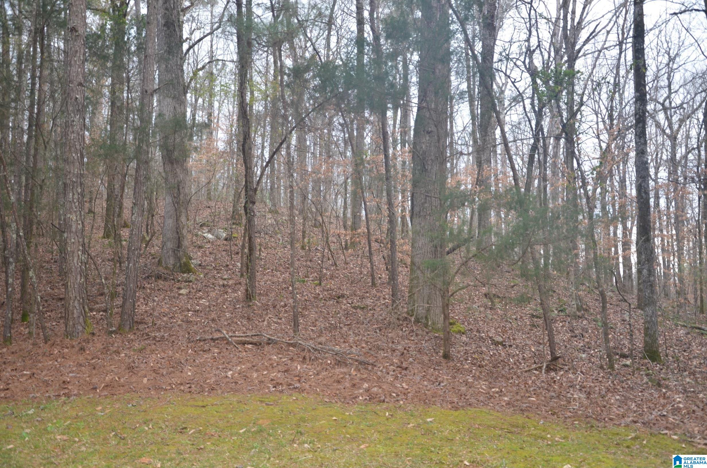 0 Settlers Ridge Alabaster, AL 35007 - Photo 14 of 19