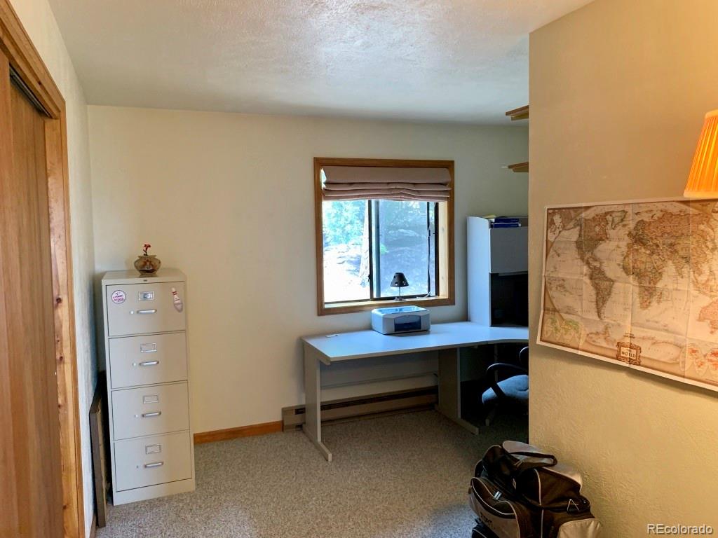 500 South Ridge Road Bailey, CO 80421 - Photo 19 of 40 Gallery Image 19