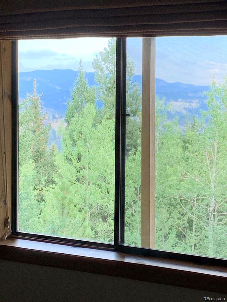 500 South Ridge Road Bailey, CO 80421 - Photo 29 of 40 Gallery Image 29