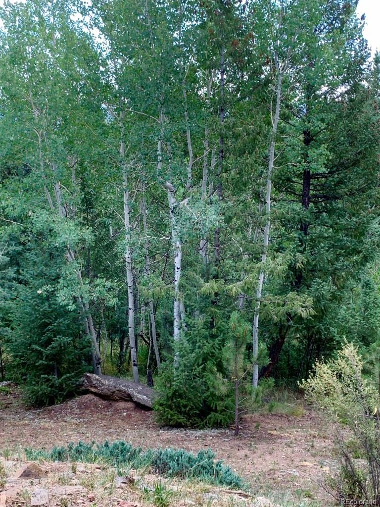 500 South Ridge Road Bailey, CO 80421 - Photo 35 of 40 Gallery Image 35