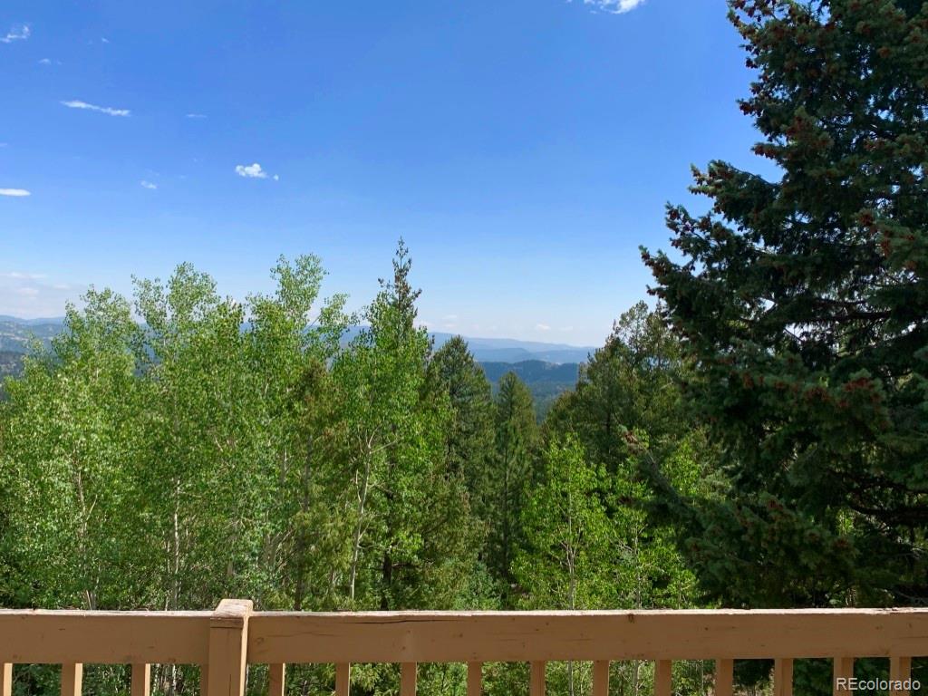 500 South Ridge Road Bailey, CO 80421 - Photo 38 of 40 Gallery Image 38