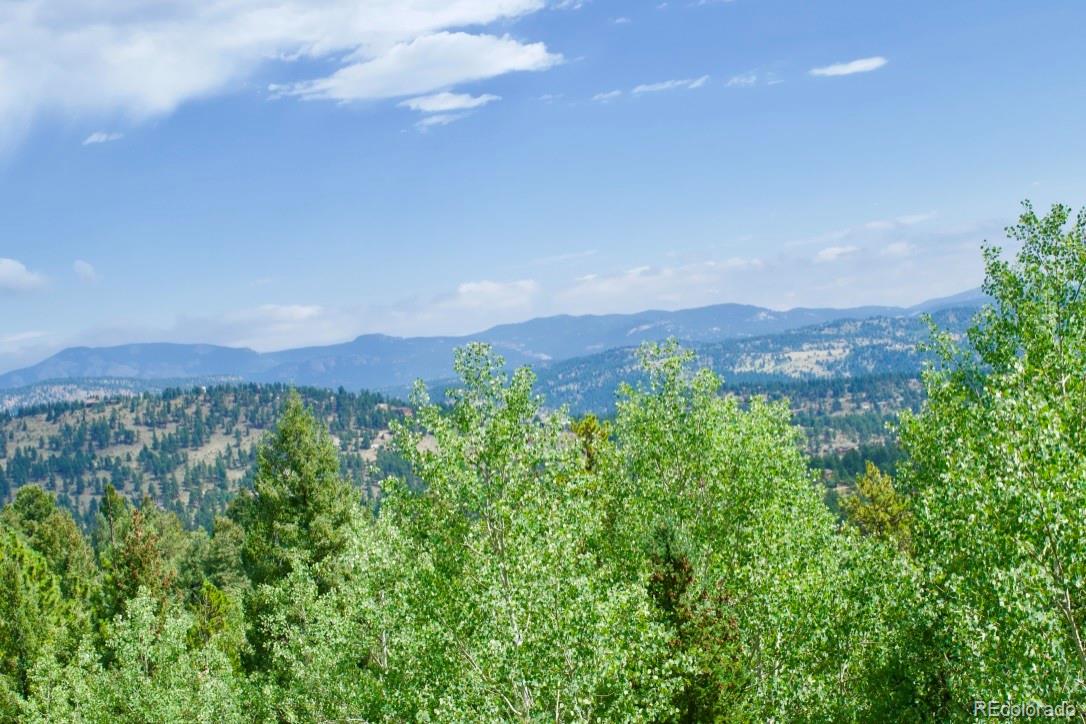 500 South Ridge Road Bailey, CO 80421 - Photo 39 of 40 Gallery Image 39