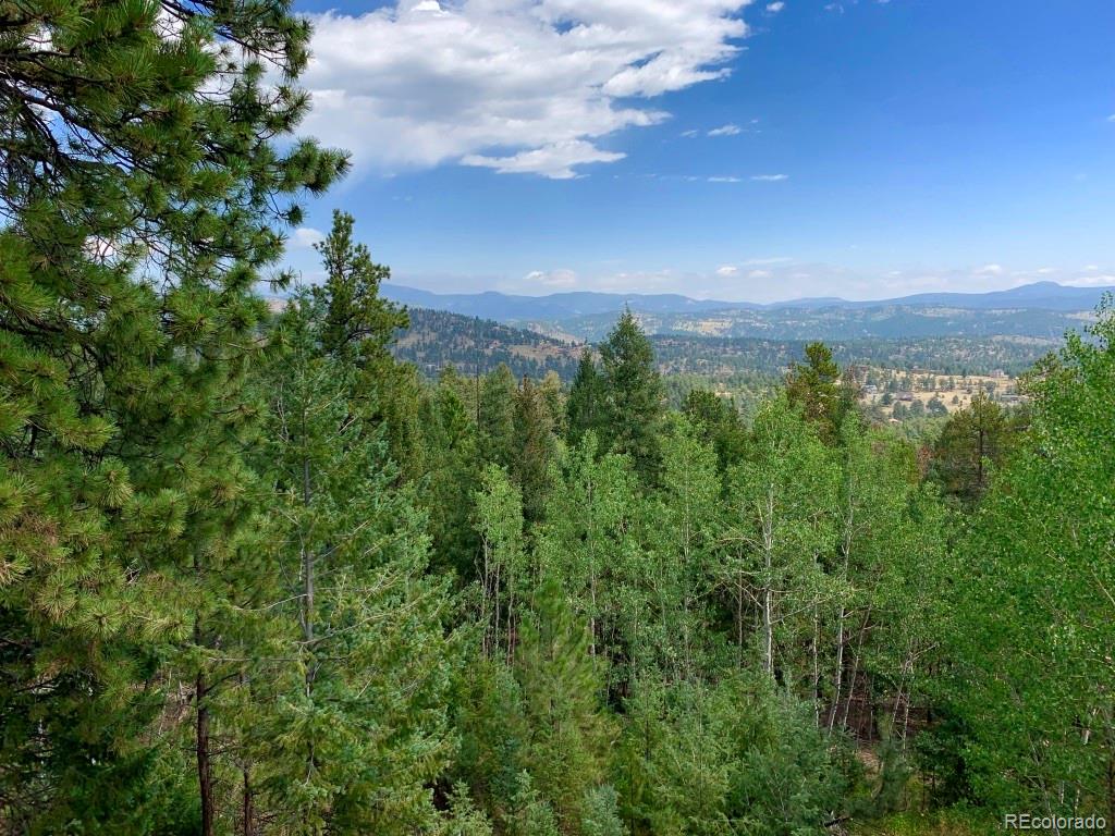 500 South Ridge Road Bailey, CO 80421 - Photo 40 of 40 Gallery Image 40