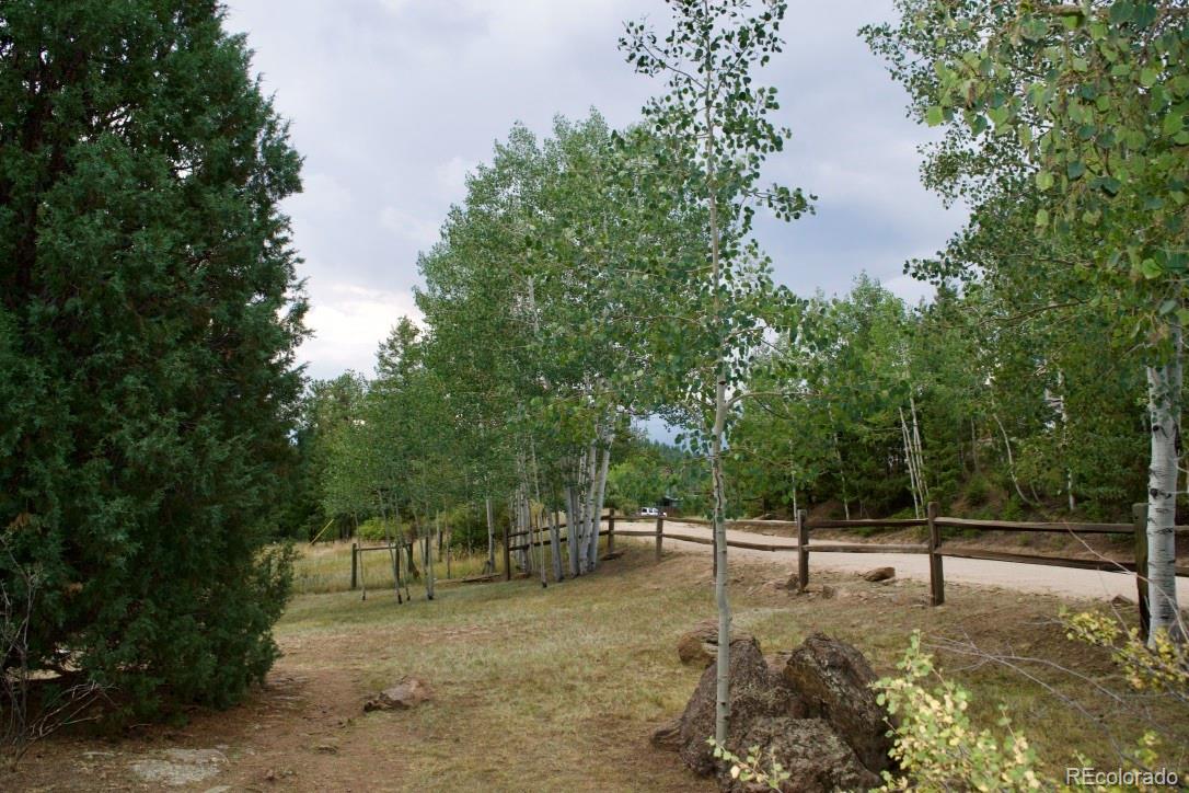 500 South Ridge Road Bailey, CO 80421 - Photo 4 of 40 Gallery Image 4