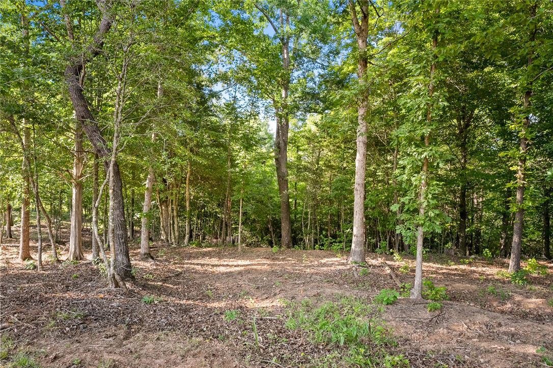 75 Hidden Acres Trail Pelzer, SC 29669 - Photo 13 of 32