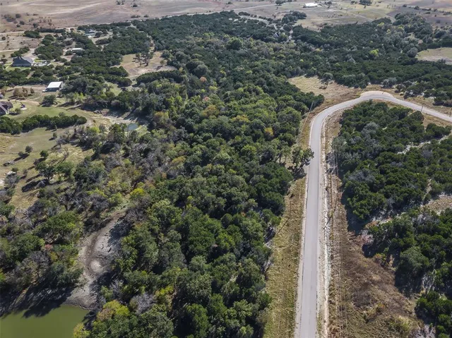 a view of a garden with a tree