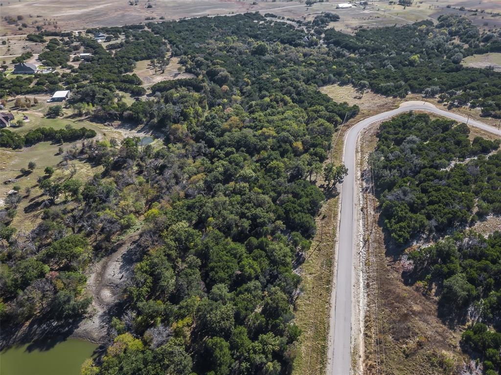 1053 Creek Crossing Road Nemo, TX 76070 - Photo 11 of 18 a view of a garden with a tree