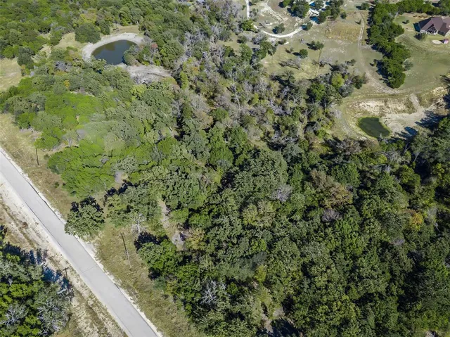 a view of a plant in a garden
