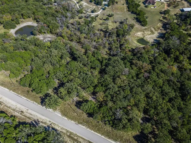 a view of a forest with a street