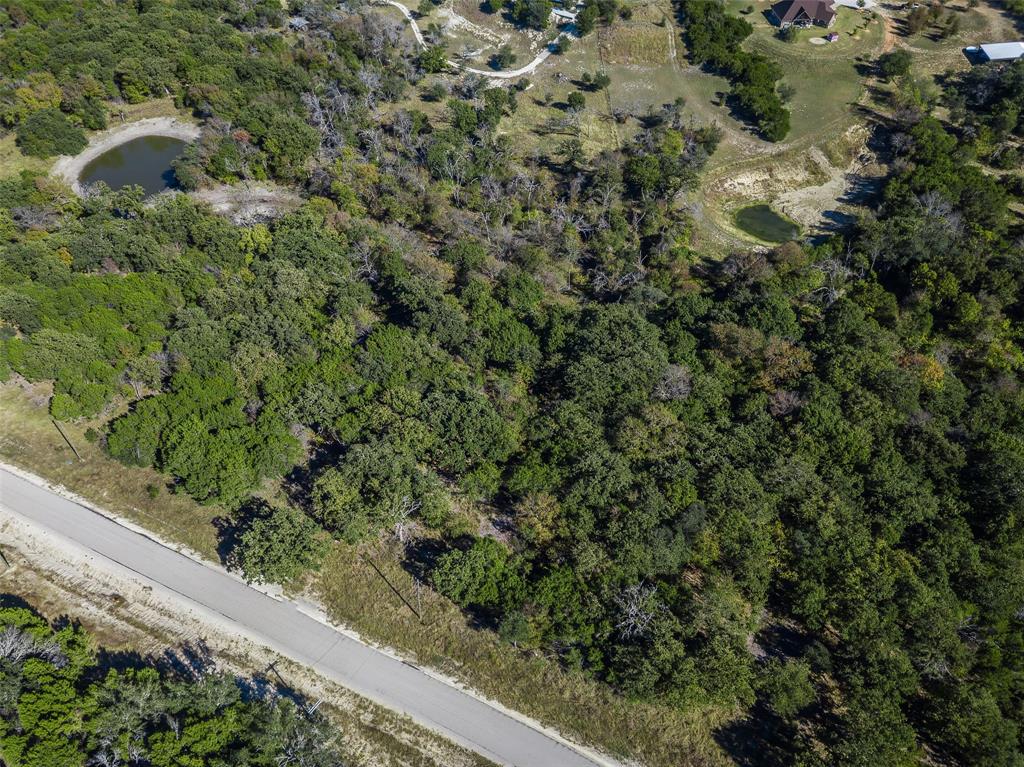1053 Creek Crossing Road Nemo, TX 76070 - Photo 13 of 18 a view of a forest with a street