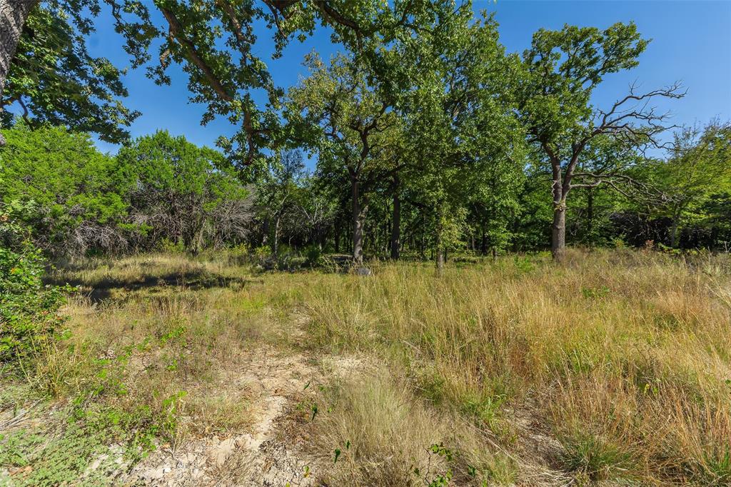 1053 Creek Crossing Road Nemo, TX 76070 - Photo 14 of 18 a view of a yard
