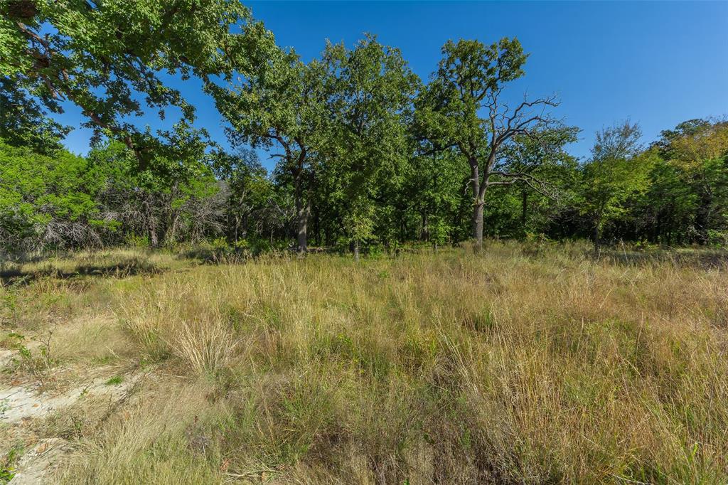 1053 Creek Crossing Road Nemo, TX 76070 - Photo 16 of 18 a view of a lake view