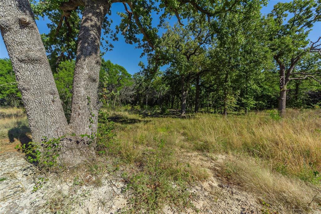1053 Creek Crossing Road Nemo, TX 76070 - Photo 17 of 18 a view of a yard