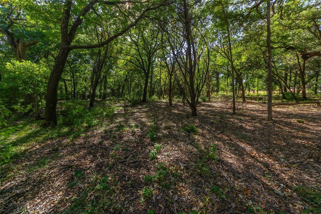 1053 Creek Crossing Road Nemo, TX 76070 - Photo 5 of 18 a big yard with lots of green space and deers