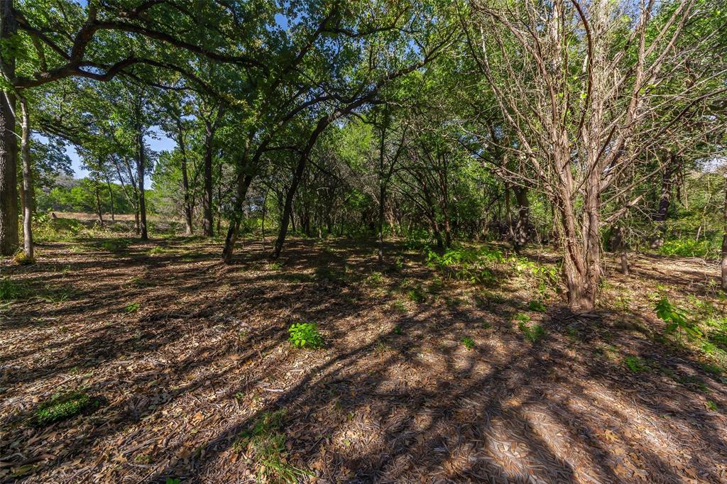 1053 Creek Crossing Road Nemo, TX 76070 - Photo 6 of 18 a big yard with lots of green space and trees
