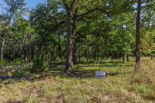 a view of a park with large trees