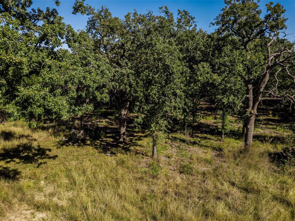 1053 Creek Crossing Road Nemo, TX 76070 - Photo 8 of 18 a view of a yard