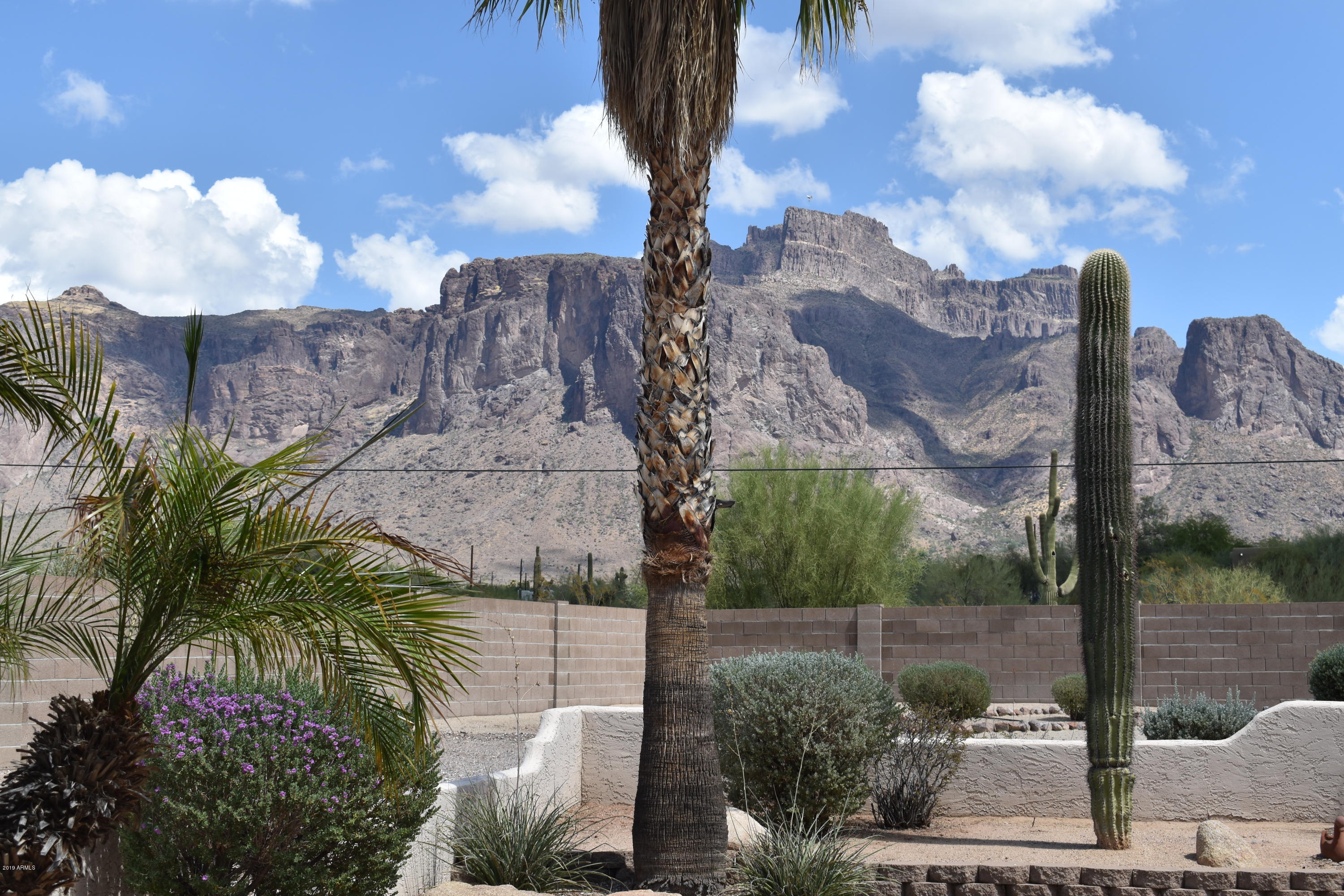 1245 North Mountain View Road Apache Junction, AZ 85119 - Photo 11 of 85 1245 MOUNTAIN VIEW (1)