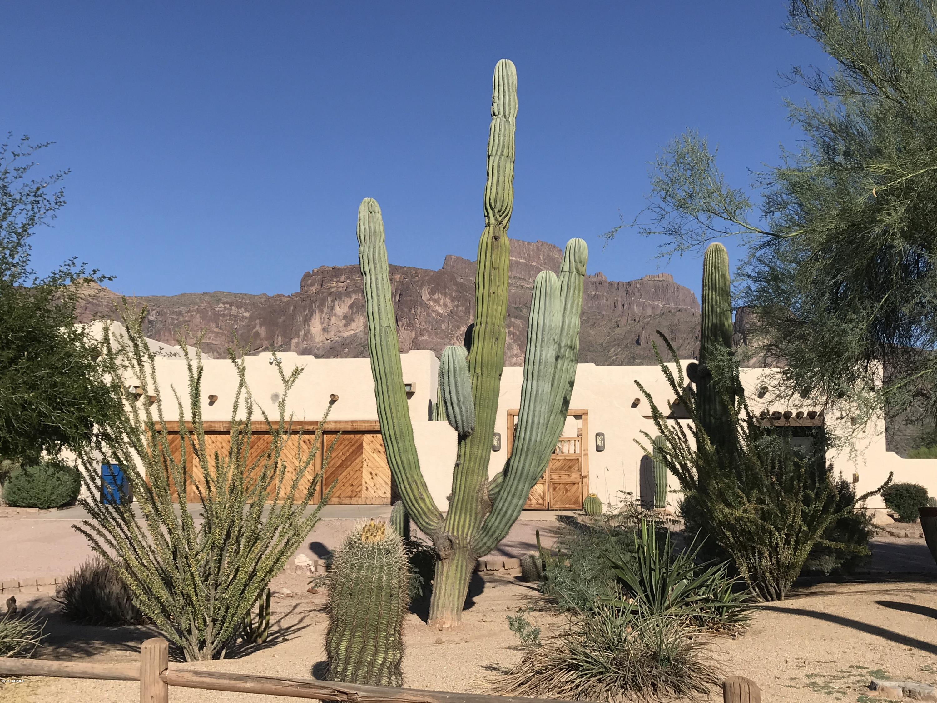 1245 North Mountain View Road Apache Junction, AZ 85119 - Photo 5 of 85 IMG-0853