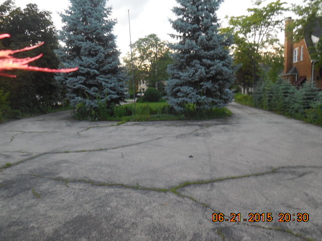 1017 Shermer Road Northbrook, IL 60062 - Photo 3 of 10